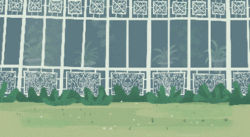 Cats Bike GIF by Kitty Is Not A Cat