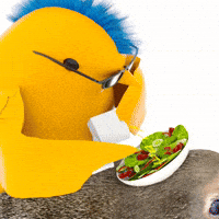 Brrd GIF