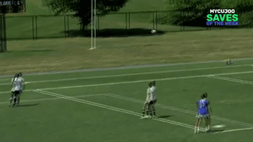 football saves GIF by mycujoo