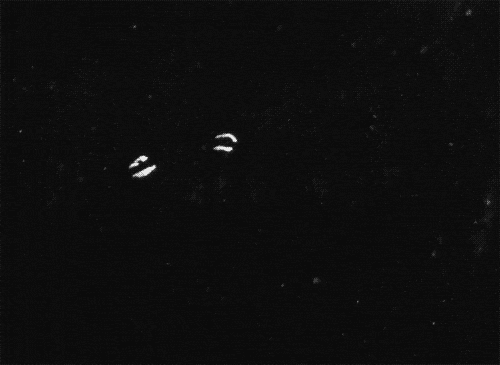 joy division matthias brown GIF by TraceLoops