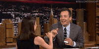 Jimmy Fallon Television GIF