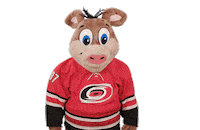 Ice Hockey Whatever Sticker by NHL