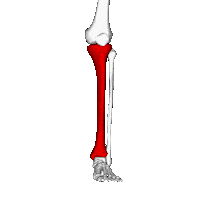 leg STICKER