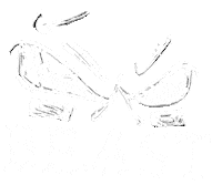 Nike Football Sticker by Nike