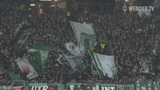 Football Soccer GIF by SV Werder Bremen