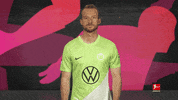 Vfl Wolfsburg Love GIF by Bundesliga