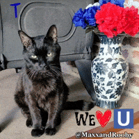 Love You GIF