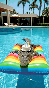 Happy Birthday GIF