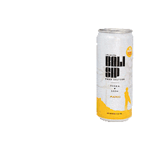 BeingsofLeisure drink vodka bali hard seltzer Sticker