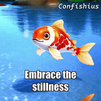 Water Love GIF by TheConfishius