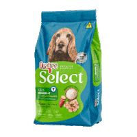 Quatreeselect Sticker by Quatree