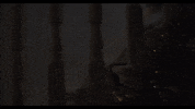 broxbourneboy feet stairs creep tiptoe GIF