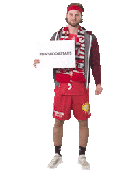 Handball-Bundesliga Fan Sticker by LIQUI MOLY HBL