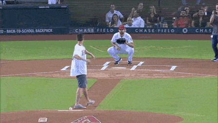 arizona diamondbacks GIF
