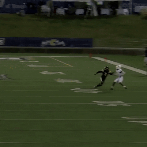 Football Catch GIF by Chattanooga Mocs