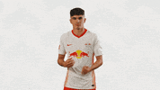 Oh Yeah Football GIF by RB Leipzig