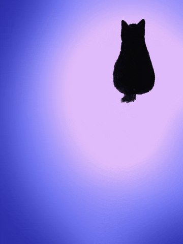 Cat Tail GIF by Imaginook