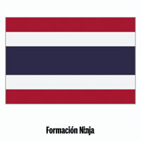 Thailand Flag GIF by Formación Ninja