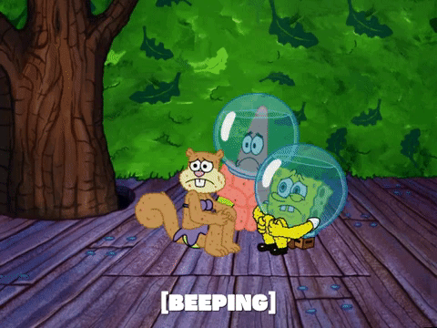 season 5 episode 10 GIF by SpongeBob SquarePants