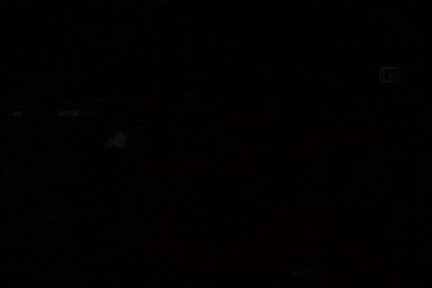 QUENTINBIB giphyupload gaming glitch video game physics GIF