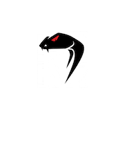 viperkit snake airsoft viper tactical Sticker