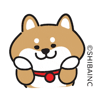 Happy Funny Face Sticker by SHIBAINC