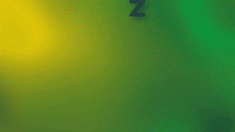 Zpf GIF by Zomerparkfeest