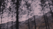 Sad Dance GIF by flybymidnight
