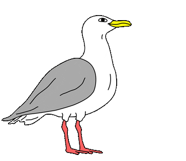 Bird Vizmedia Sticker by VIZ