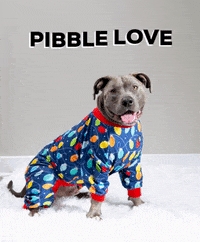 pittieclothing pitbull pibble pit bull bully breed GIF