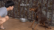 kyutae oppa GIF