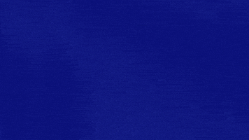 Flowers Be Nice GIF by Jeopardy!