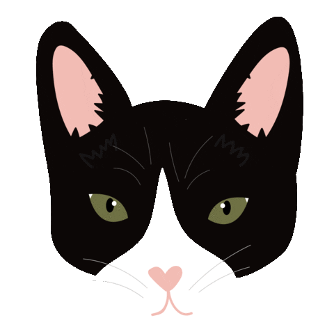 Black Cat Sticker by Maria Murnikov