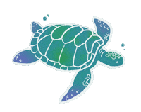 Costa Rica Sea Sticker by United Planet