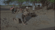 bradford cox GIF by Deerhunter