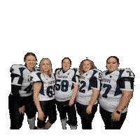 Ladiesfootball Sticker by Frauensportverein Ladies United - Limburg Valkyries