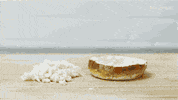 GIF by Mashable