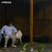 netflix trip wet hot american summer michael showalter GIF