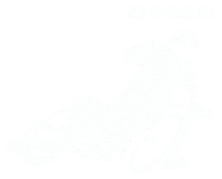 Motorsport Speedway Sticker by DMSB e.V.