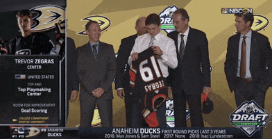 nhl sports sport hockey nhl GIF