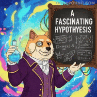 Explaining Shiba Inu GIF by Doge Pound