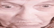 Wide Eyed Wtf GIF