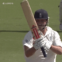 Happy London GIF by Lord's Cricket Ground