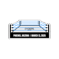 Wrestle Wwe Smackdown Sticker by Mortgage Matchup Center