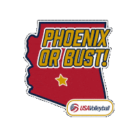 Phoenix Arizona Sticker by USA Volleyball
