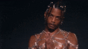 Beyonce Renaissance GIF by Damez