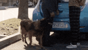 Jethro Gibbs Bishop GIF by CBS