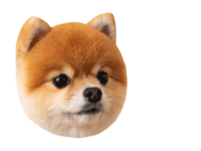 헨로포우 Sticker by henlopaw.official