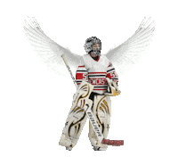 Ice Hockey Goaltender Sticker by nclwildcatsbuiha