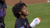 Home Run Hug GIF by New York Mets